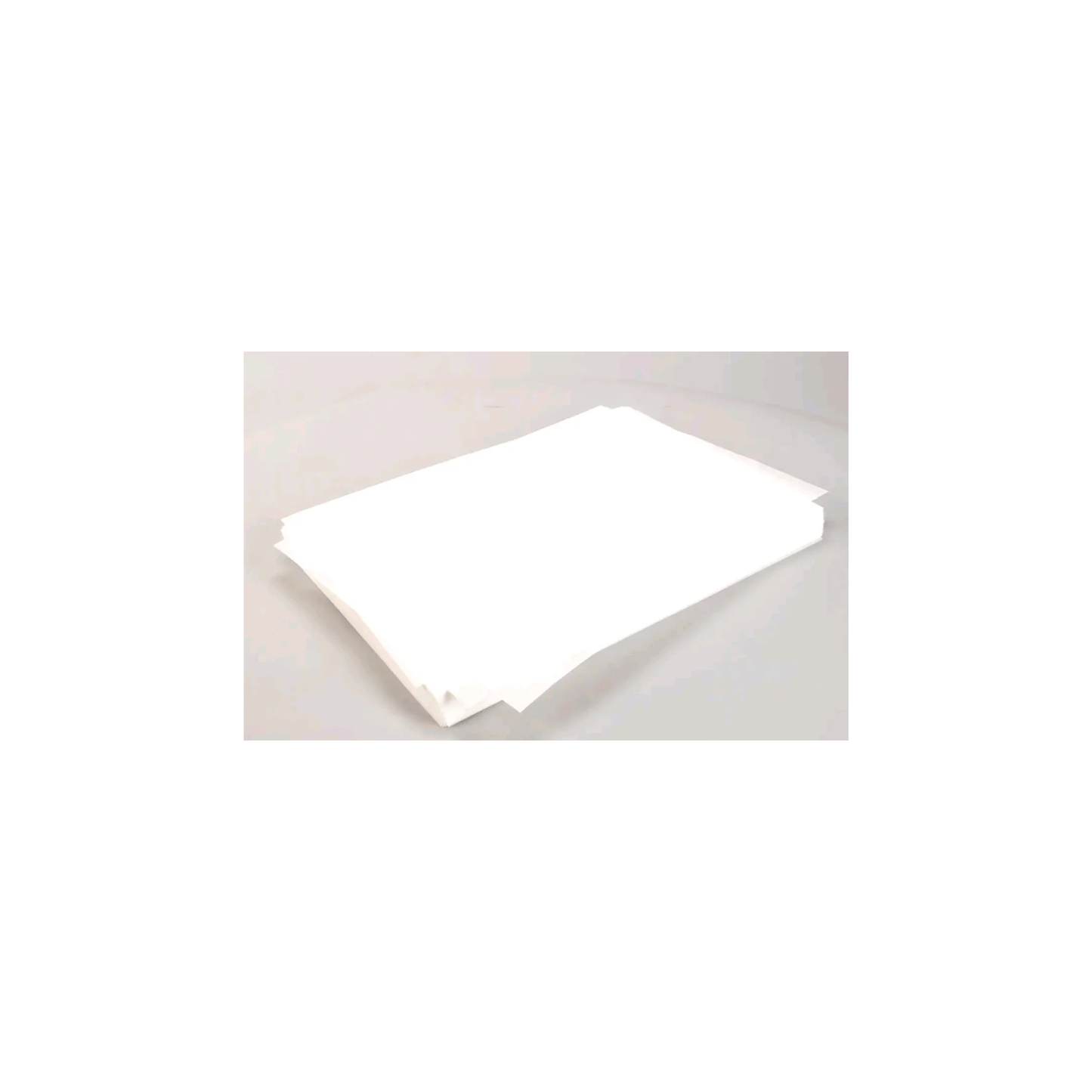 FILTRE POUR FILTREUSE Ë L'HUILE FRYMASTER