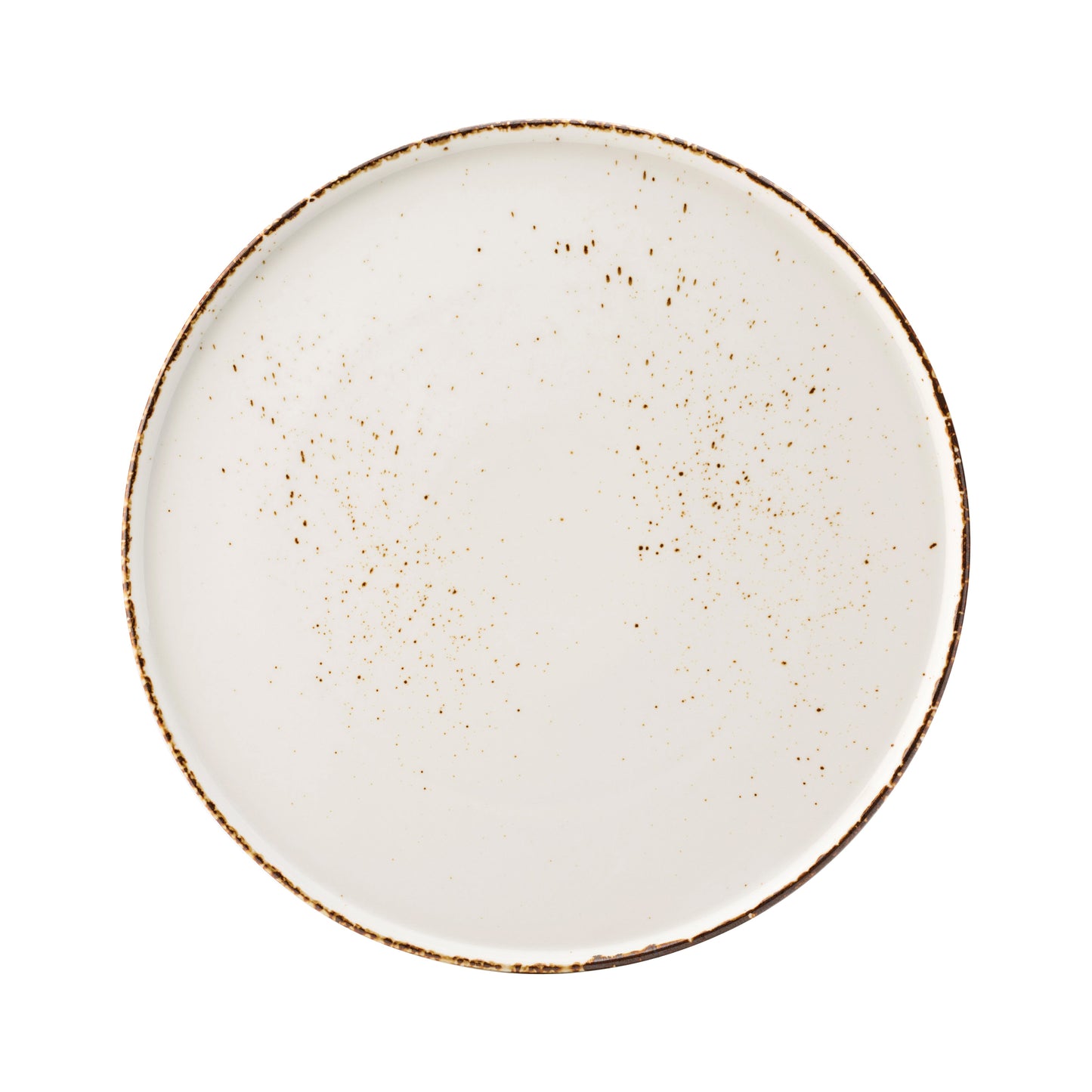 ASSIETTE COUPE 12" OMBRE