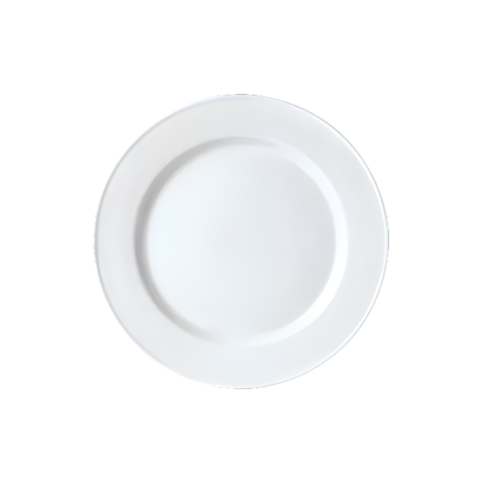PLATE "SLIMLINE SIMPLICITY" STEELITE – 11.75"